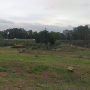 CSG - landscaping - Earth Day - After cleaning has taken place