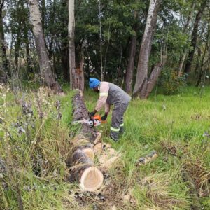 CSG - landscaping - Earth Day - Cutting the dead tree in to pieces for removal